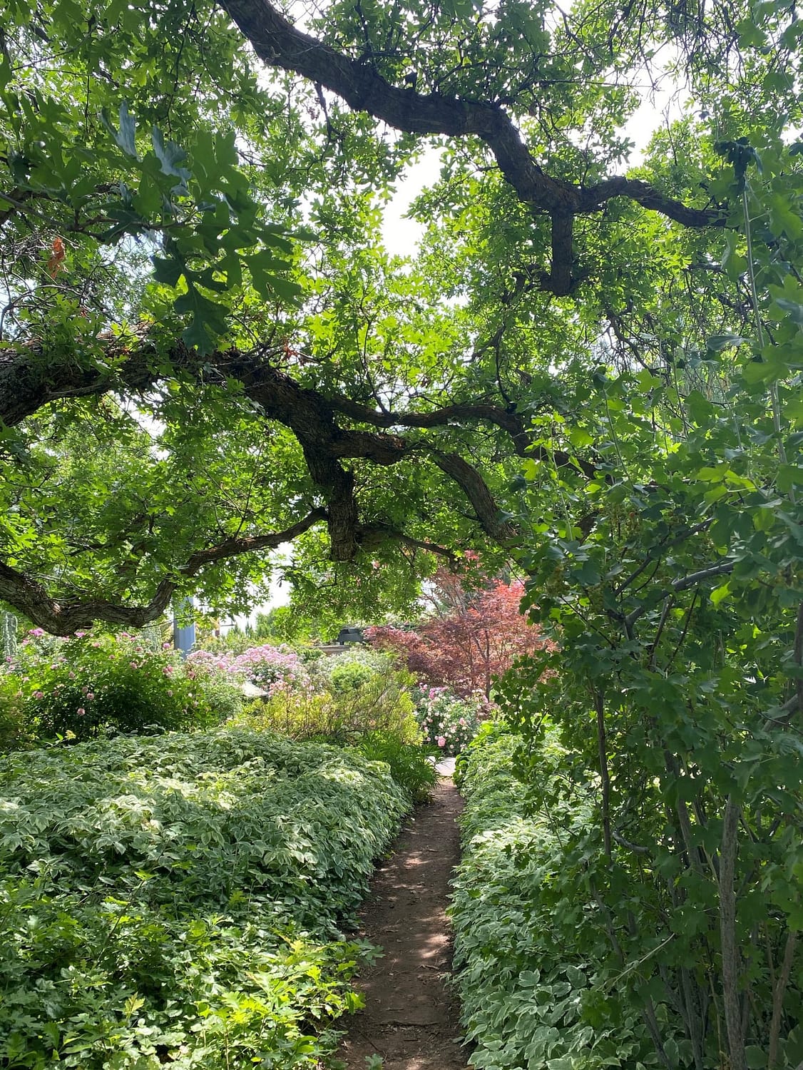 5 Gardens & Arboretums You Must See In North America